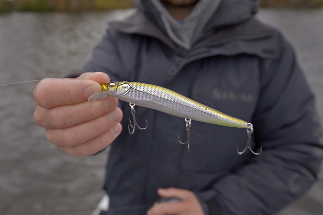 Jerkbait Setup (Rod/Reel/Line) Jacob Bros Bass Utopia